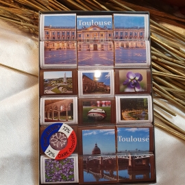 Vues de Toulouse