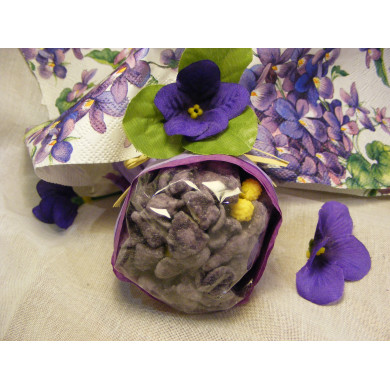 Box  Paradisiaque Toulousaine 