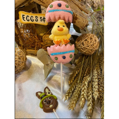 Sucettes à la guimauve 1 offerte au chocolat