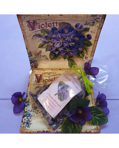Violettes et plateau