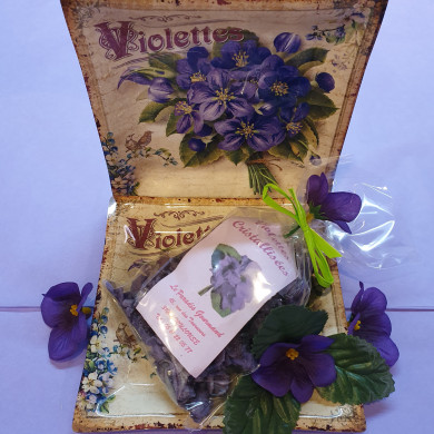 Violettes et plateau